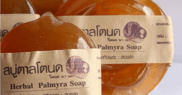 สบู่ตาลโตนด