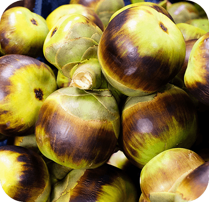 Palm Fruit
